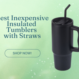 Inexpensive Insulated Tumblers with Straws